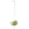 Artificial Hanging Herb Plants in White Flowerpot [119183]