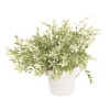 Artificial Hanging Herb Plants in White Flowerpot [119183]