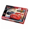 100 - Cars 3 [16313]