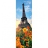 300 Home Gallery - The Eiffel Tower Among Flowers [75000]
