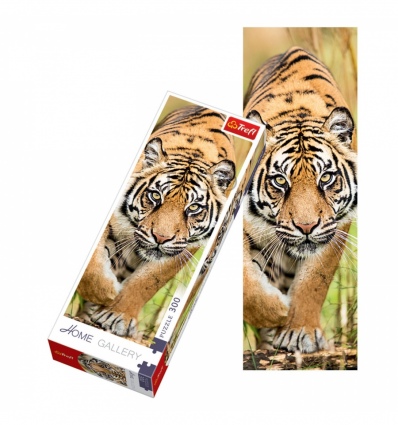 300 Home Gallery - Creeping Tiger [75002]