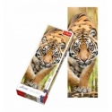 300 Home Gallery - Creeping Tiger [75002]