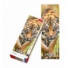 300 Home Gallery - Creeping Tiger [75002]