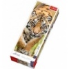 300 Home Gallery - Creeping Tiger [75002]