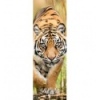 300 Home Gallery - Creeping Tiger [75002]