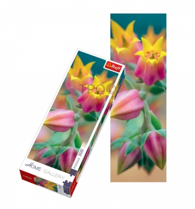 300 Home Gallery - Flowers In Bloom [75005]