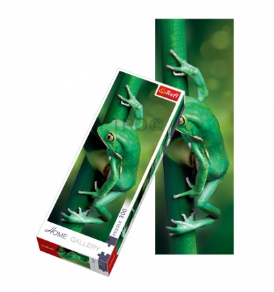 300 Home Gallery - Little Frog [75007]
