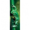300 Home Gallery - Little Frog [75007]