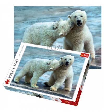 500 - Polar Bears [37270]