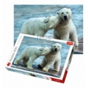 500 - Polar Bears [37270]