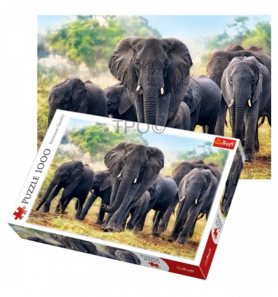 1000 - African Elephants [10442]