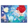 54 Plus - Stickers / Disney Princess [75114]
