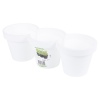 White 3 Section Herb Pot [308529]