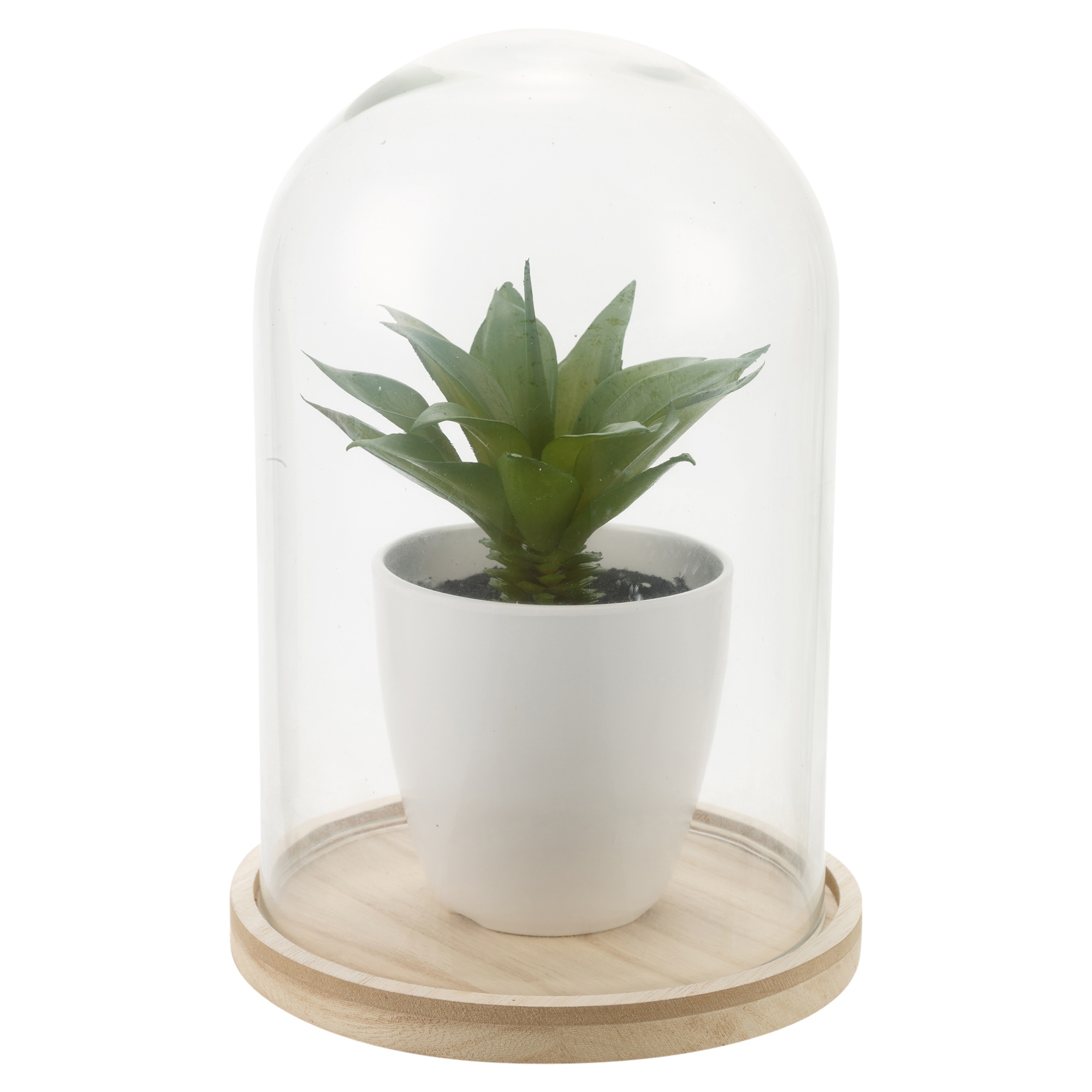 Artificial Plant With Glass Dome Jar Bell Decorative Display Wood Base ...