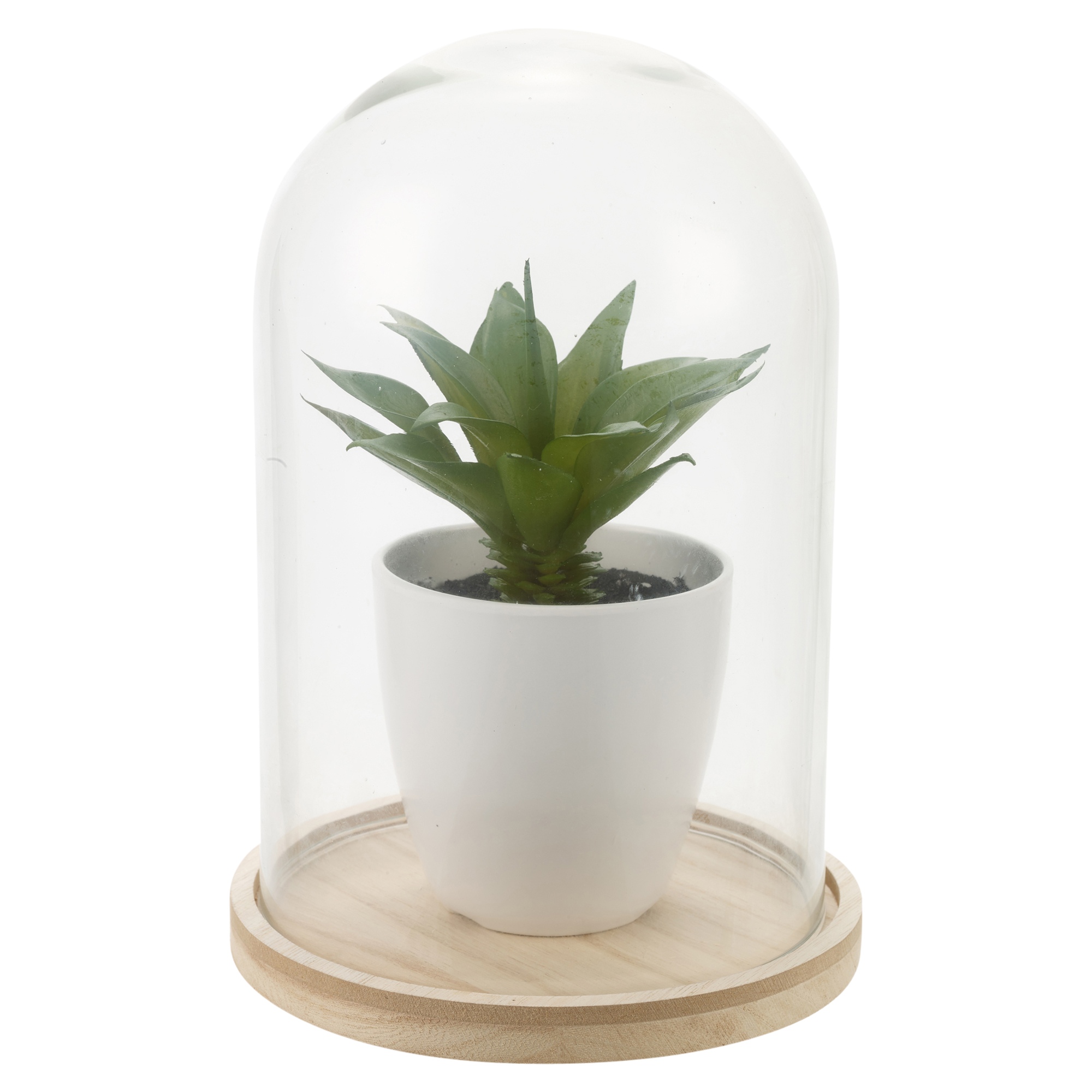 Artificial Plant With Glass Dome Jar Bell Decorative Display Wood Base Vintage eBay
