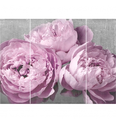 Pink & Grey Peonies Triptych [004045][140454]
