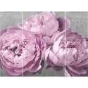 Pink & Grey Peonies Triptych [004045][140454]