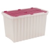 Large Plastic Storage Box [912436]