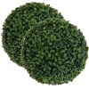 Artificial Grass Dome