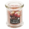 Apple Cinnamon Candle [156503]