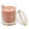 Apple Cinnamon Candle [156503]