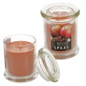 Apple Cinnamon Candle [156503]