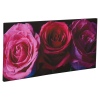 Plum Roses Canvas [002414][124140]