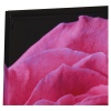 Plum Roses Canvas [002414][124140]