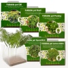 5 Foldabble Herb Pots - LEMON BALM/PARSLEY/DILL/BASIL/MINT [353146]