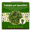 5 Foldabble Herb Pots - LEMON BALM/PARSLEY/DILL/BASIL/MINT [353146]