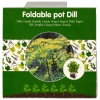 5 Foldabble Herb Pots - LEMON BALM/PARSLEY/DILL/BASIL/MINT [353146]