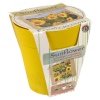 3 Assorted Flower Growing Pots -