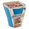 3 Assorted Flower Growing Pots -