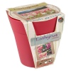 3 Assorted Flower Growing Pots -