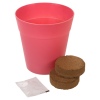 3 Assorted Flower Growing Pots -