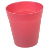 3 Assorted Flower Growing Pots -