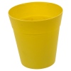 3 Assorted Flower Growing Pots -