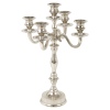 Antique Look 5 Arm Candle Holder [320637]