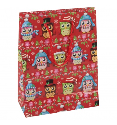 3 Assorted Christmas Owls Gift Bags [620521]