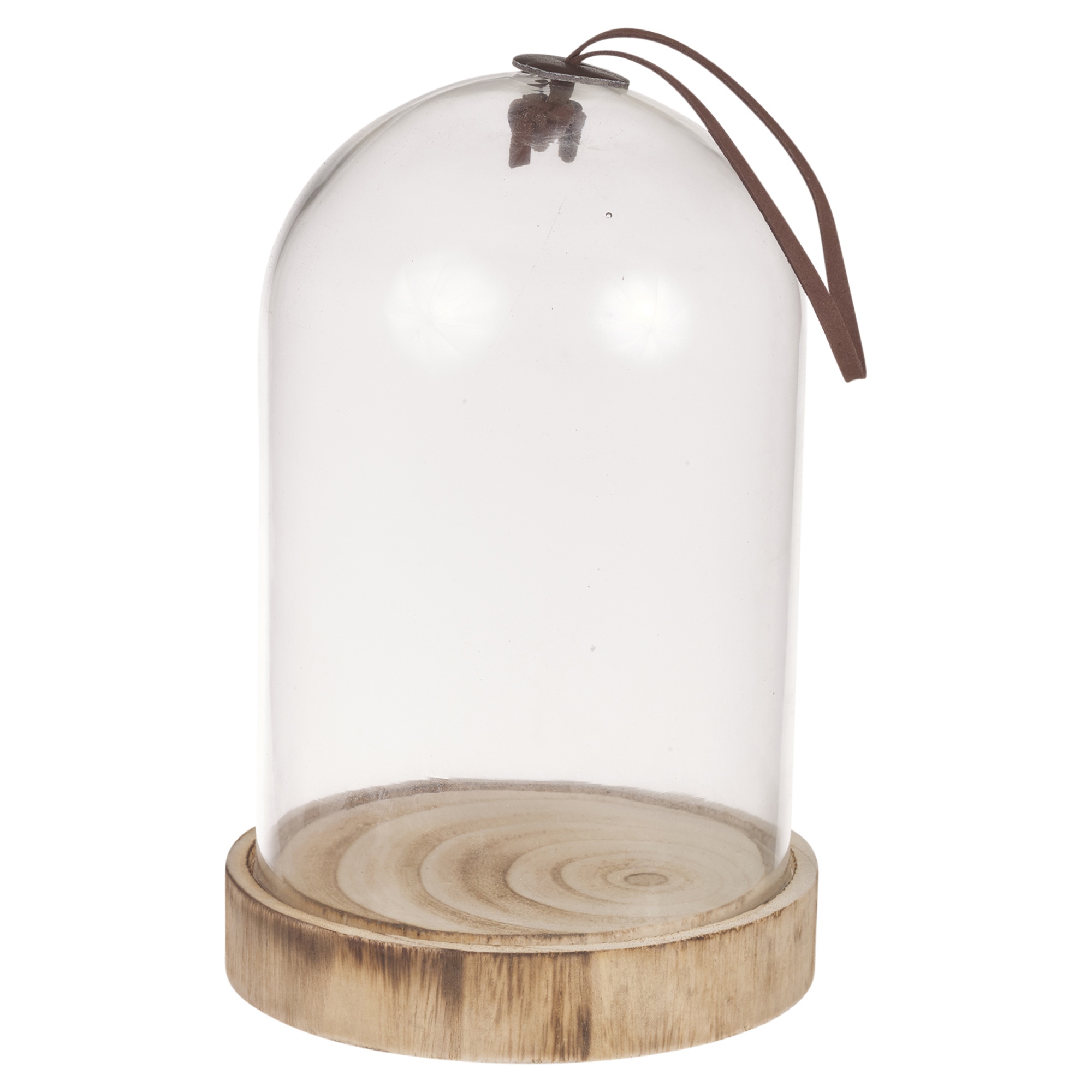Large Glass Dome Display Bell Jar Cloche on Wooden Base Decorative Desk