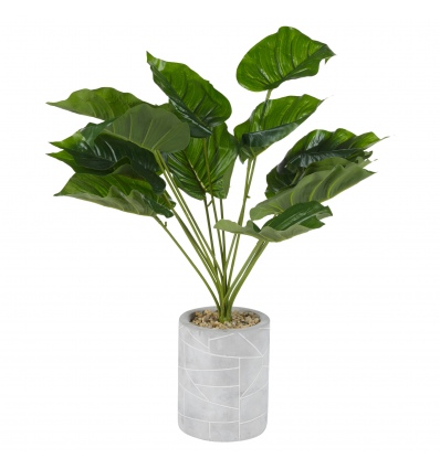 Plant Pot [452174]