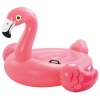 Flamingo Ride [403021]