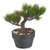 Artificial Bonsai Tree [387889]