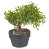 Artificial Bonsai Tree [387889]