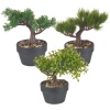 Artificial Bonsai Tree [387889]