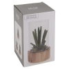 Artificial Plant with Wooden Base [477795]