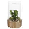 Artificial Plant with Wooden Base [477795]