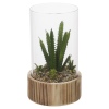 Artificial Plant with Wooden Base [477795]