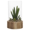 Artificial Plant with Wooden Base [477795]