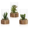 Artificial Plant with Wooden Base [477795]